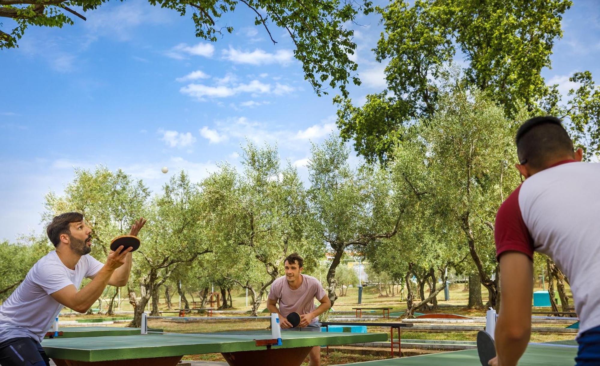 Novigrad Istria Aminess Planet Camping Maravea Resort - Pitches מראה חיצוני תמונה